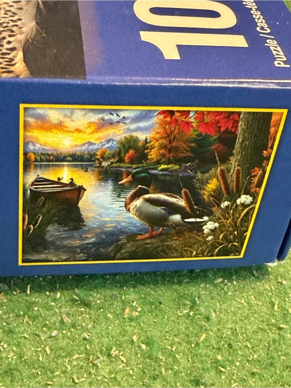 Springbok 1000 piece puzzle